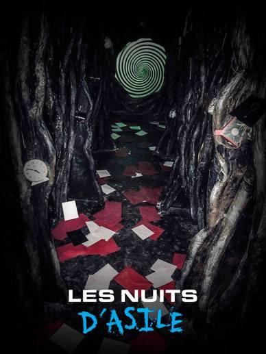 à-double-tour-les-nuits-d-asile-alice-terrier