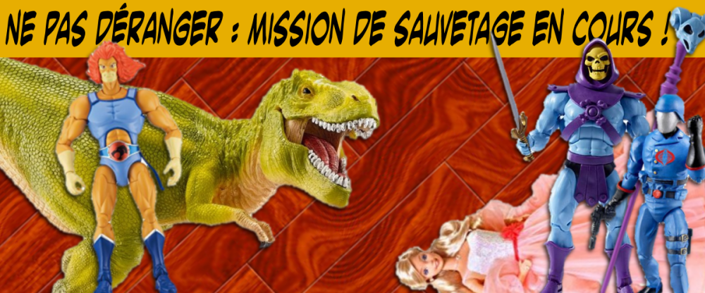 mission sauvetage2