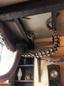 artimus-cabinet-de-curiosites-paris-poulpe