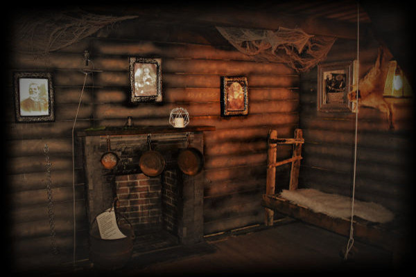 Cabin_Wide