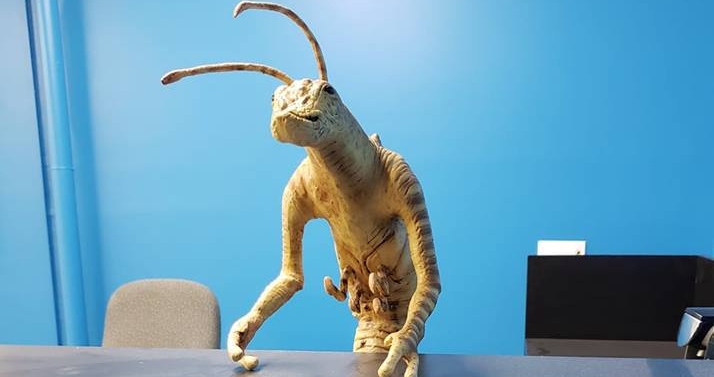 codex-receptionniste