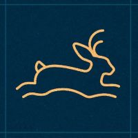 jackalope-cabinet-mysteriis