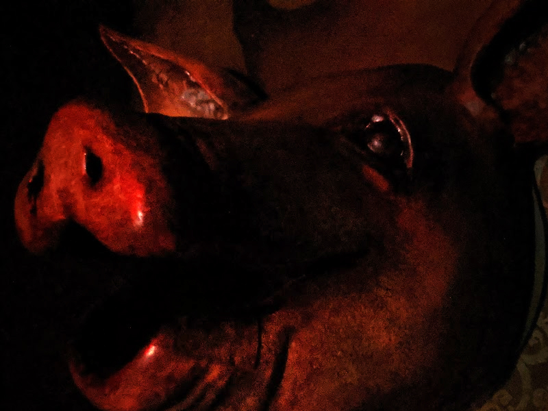 eliviascape-la-nuit-la-plus-longue-3